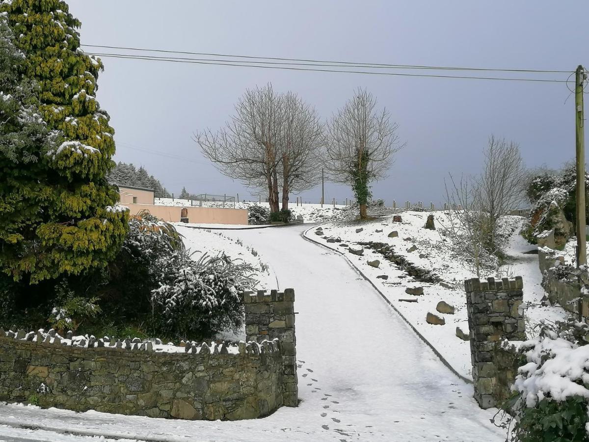 Carlingford Mountain And Sea Views Daire Dış mekan fotoğraf