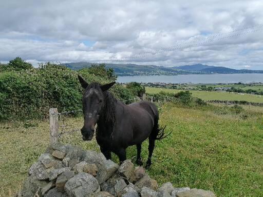 Carlingford Mountain And Sea Views Daire Dış mekan fotoğraf